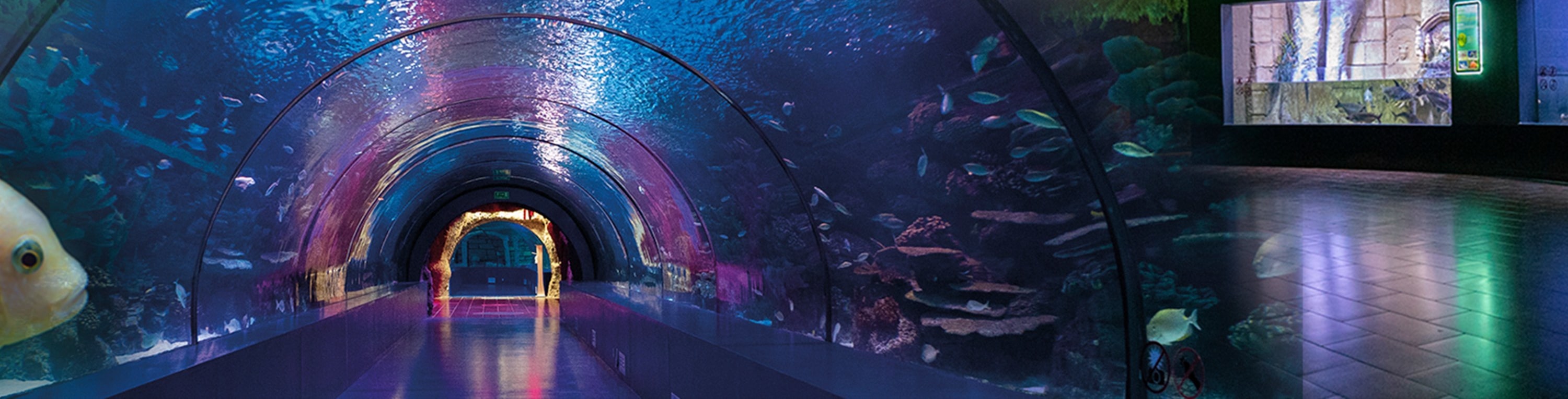 安塔利亞水族館和蠟像館門票