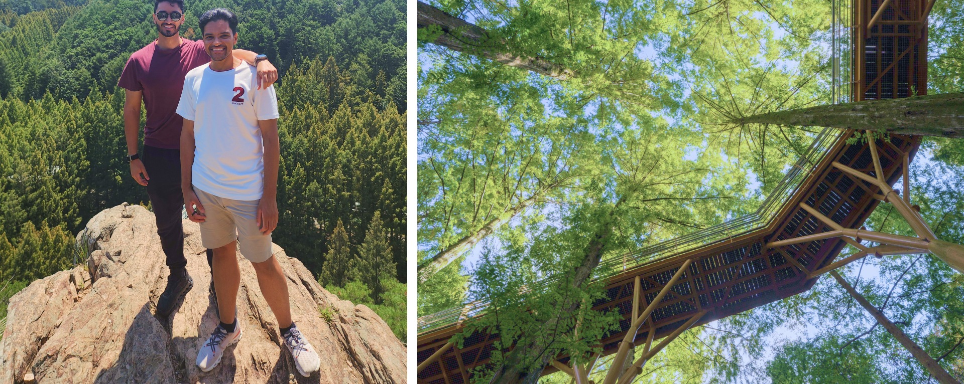 🌿夏季的長泰山以其美麗的小徑而聞名,非常適合清爽的徒步旅行。 🌿夏季的長泰山以其美麗的小徑而聞名,非常適合清爽的徒步旅行。