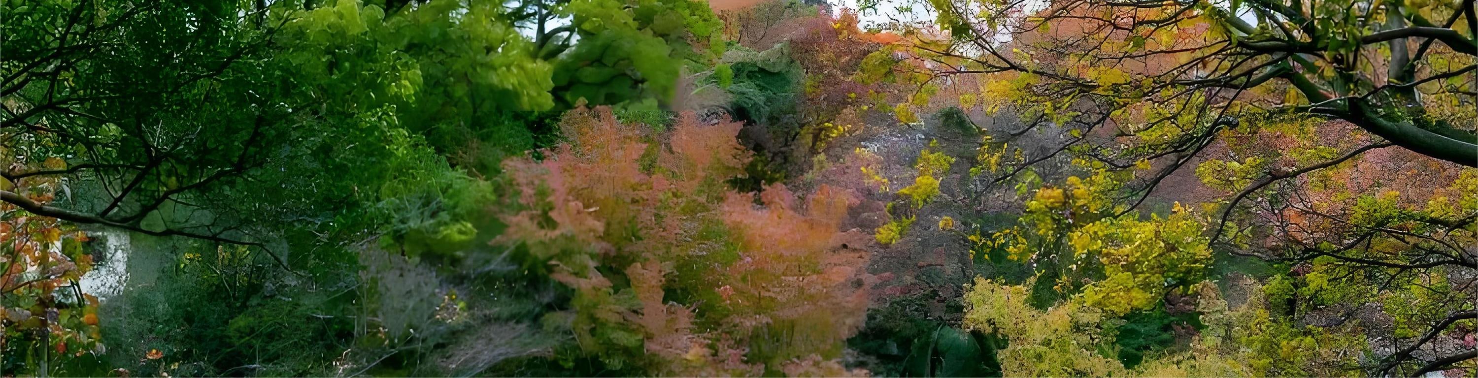 Suzhou Private Day Tour: Humble Administrator's Garden, Lion Grove, Hanshan Temple, Tiger Hill, Shantang Street