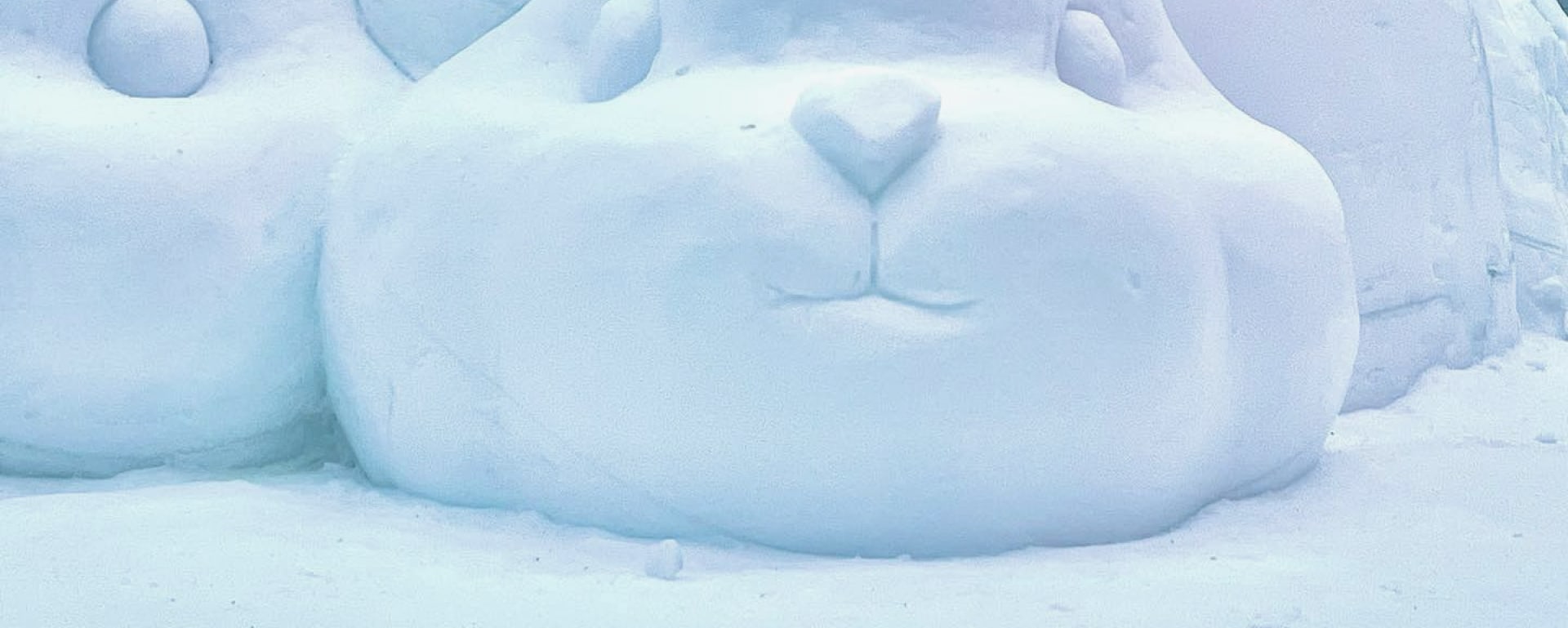 在巨大的冰雕前拍一張令人驚歎的照片。 您會看到可愛的角色,甚至還有一座冰雪城堡。 在巨大的冰雕前拍一張令人驚歎的照片。 您會看到可愛的角色,甚至還有一座冰雪城堡。