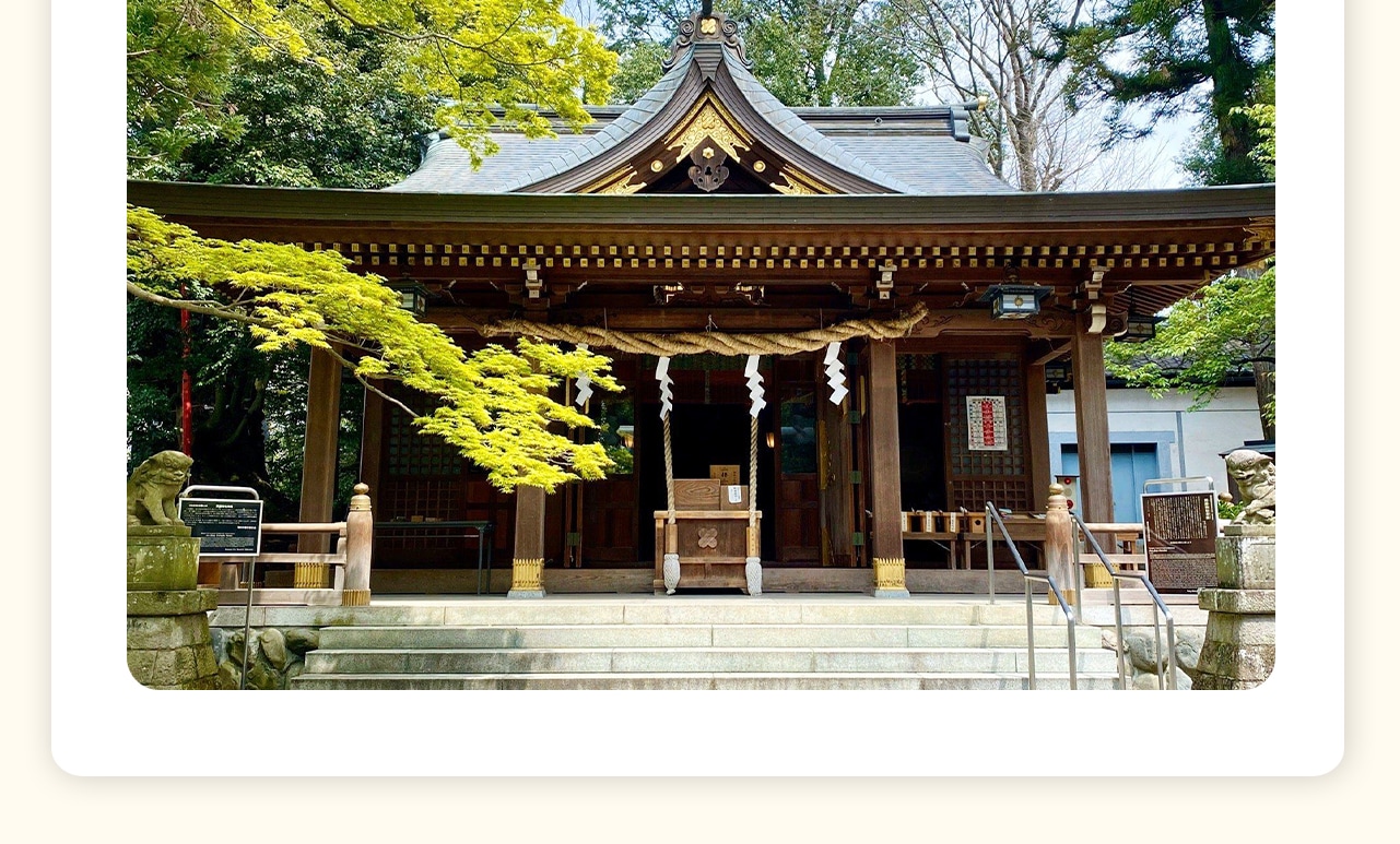 阿蘇神社有2500年曆史,供奉的主神是以阿蘇的開拓史祖、神武天皇的孫子健磐龍命為首的12尊神,被視為日本國家重要的文化資產。 阿蘇神社有2500年曆史,供奉的主神是以阿蘇的開拓史祖、神武天皇的孫子健磐龍命為首的12尊神,被視為日本國家重要的文化資產。