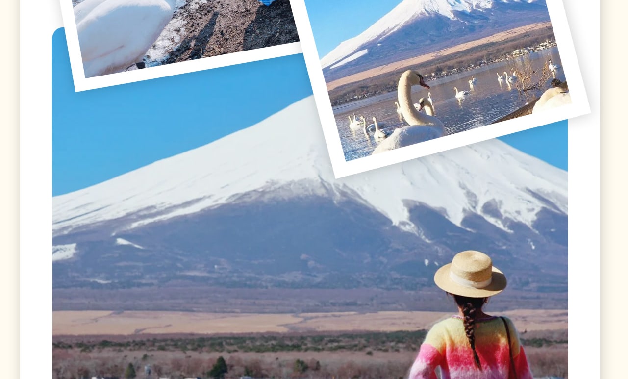 山中湖白鳥濱是位於日本富士山附近的一個著名旅遊景點,以其優美的自然風光和富士山的美景而聞名。可以在山中湖白鳥濱餵食野生白天鵝,或者在湖畔的棧橋上散步,遠眺富士山。而且是拍攝富士山的好地點,尤其是日出和日落時分,景色尤為壯觀。 山中湖白鳥濱是位於日本富士山附近的一個著名旅遊景點,以其優美的自然風光和富士山的美景而聞名。可以在山中湖白鳥濱餵食野生白天鵝,或者在湖畔的棧橋上散步,遠眺富士山。而且是拍攝富士山的好地點,尤其是日出和日落時分,景色尤為壯觀。