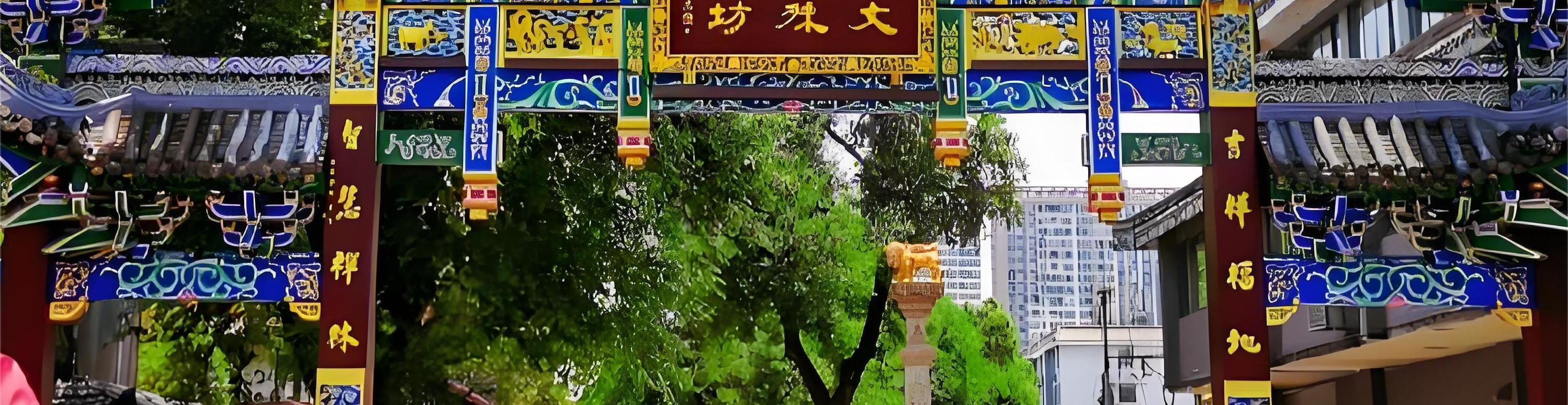 成都文殊院 武侯祠 錦裡 寬窄巷子 私人導覽一日遊
