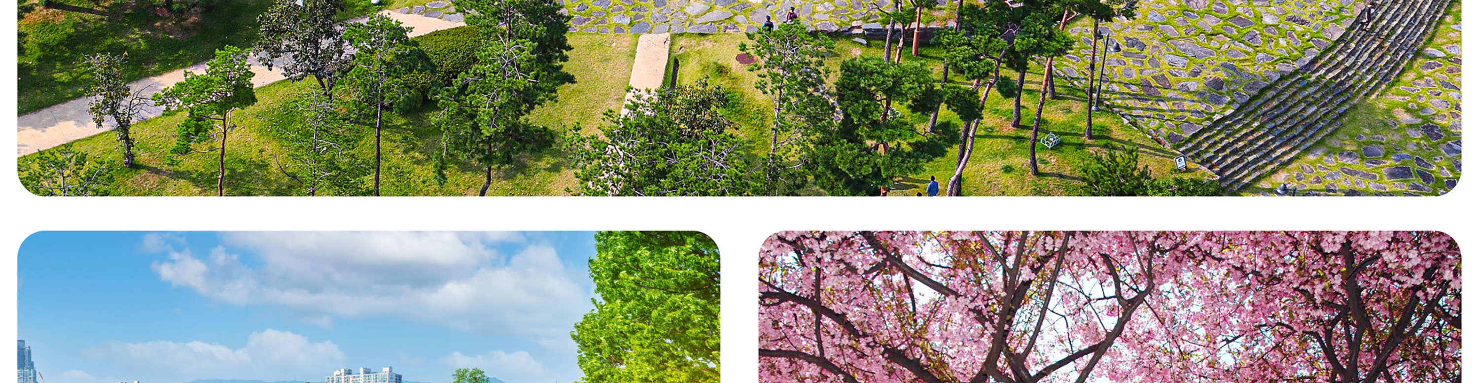 深入探索水原華城 (Suwon Hwaseong) 的每個角落，並在傳統韓國背景下拍攝令人難忘的照片。