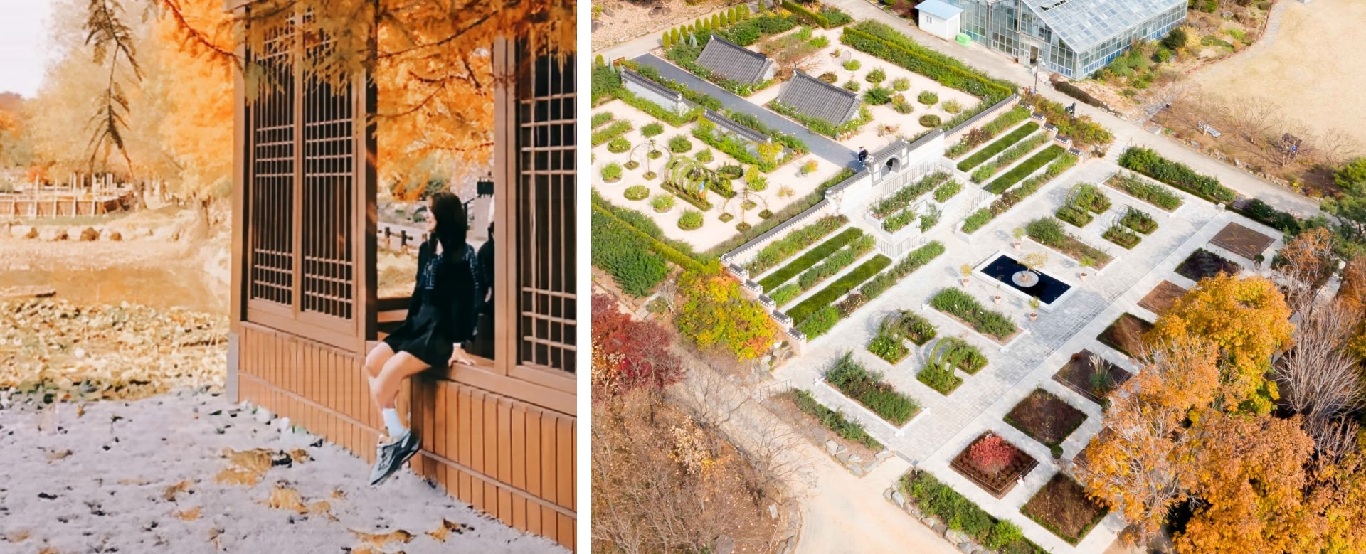 秋天將公園變成一片暖紅色和金色的畫布，是攝影愛好者的理想之地。