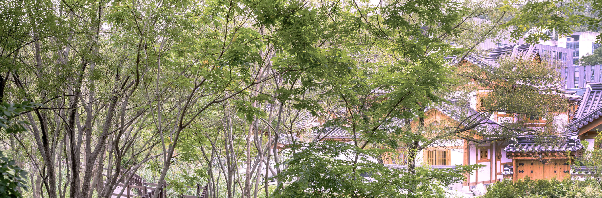 首爾市 & 季節性熱門景點一日遊