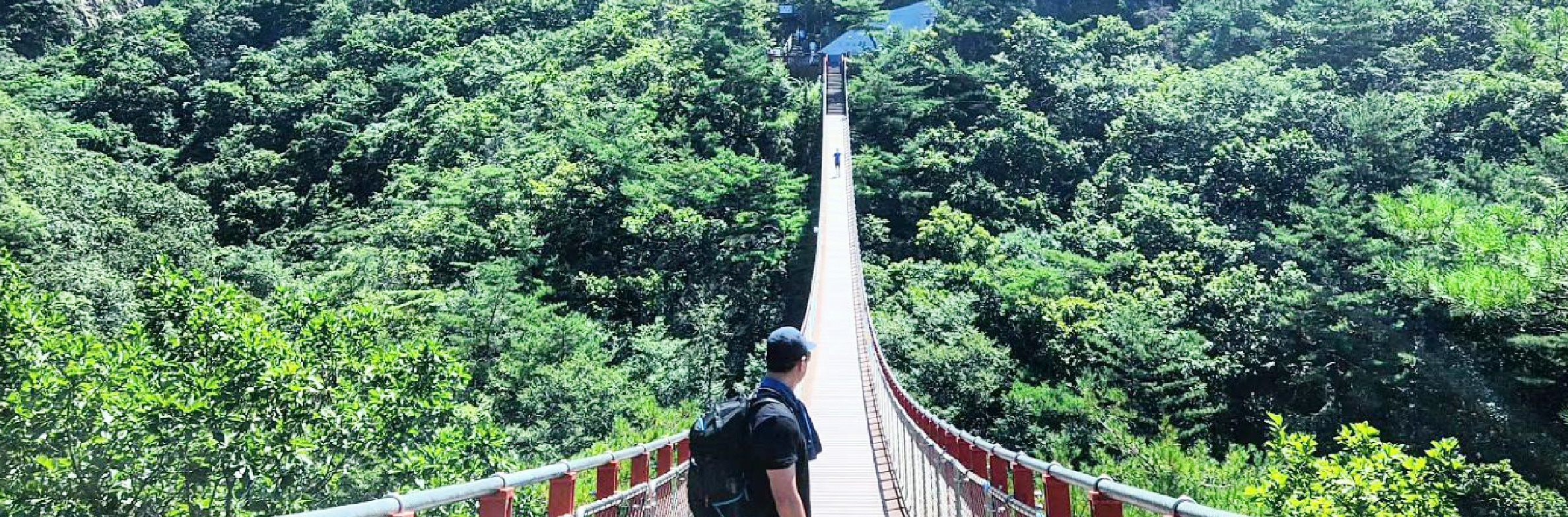 首爾市 & 季節性熱門景點一日遊