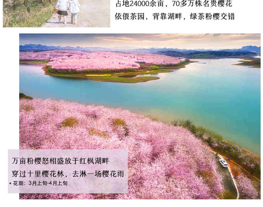 【櫻花限定】貴州平壩櫻花3日（青巖狀元府邸文凡花間堂+黃果樹匠廬·閱山+貴陽往返+萬畝平壩櫻花園+亞洲第一大瀑布黃果樹瀑布）