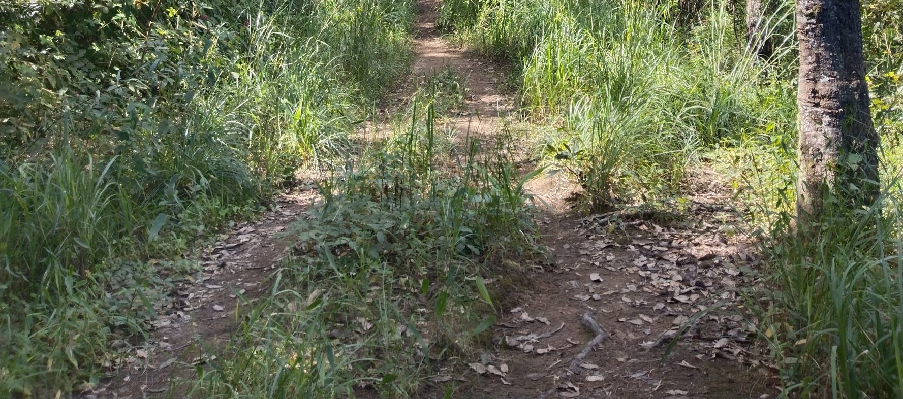 素帖山普伊國家公園探險健行