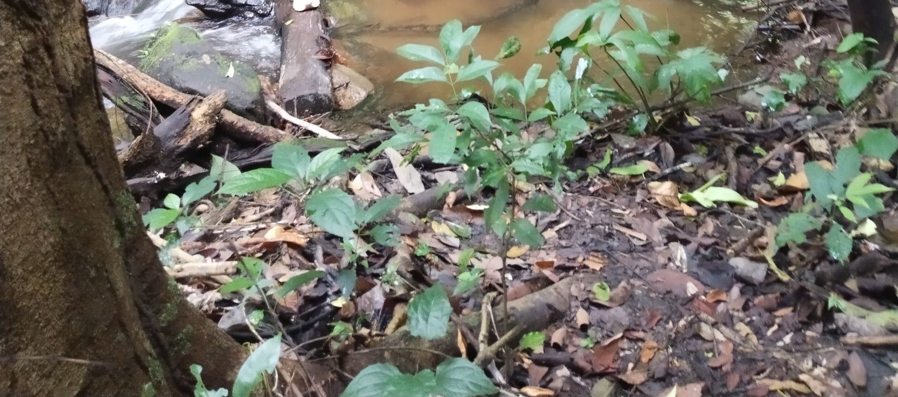 素帖山普伊國家公園探險健行