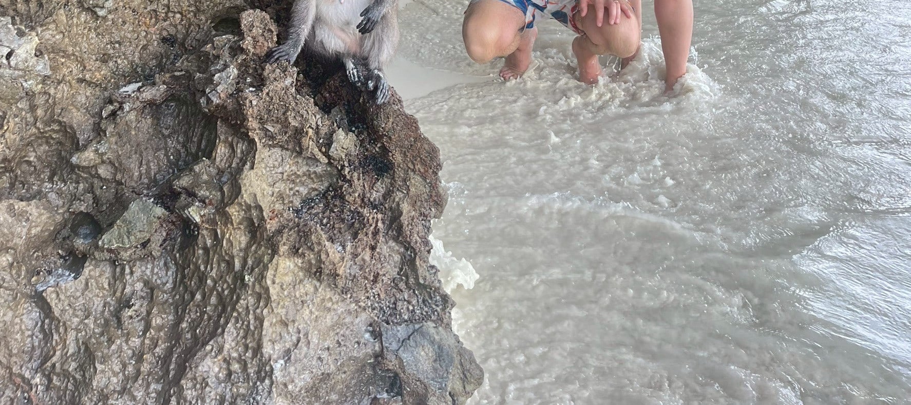 皮皮島 & 4大島嶼日落快艇之旅（甲米出發）