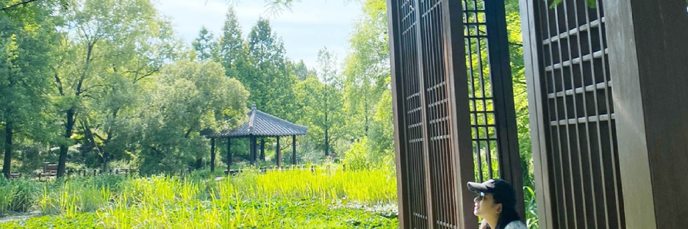 全州韓屋村＆季節性熱門景點一日遊
