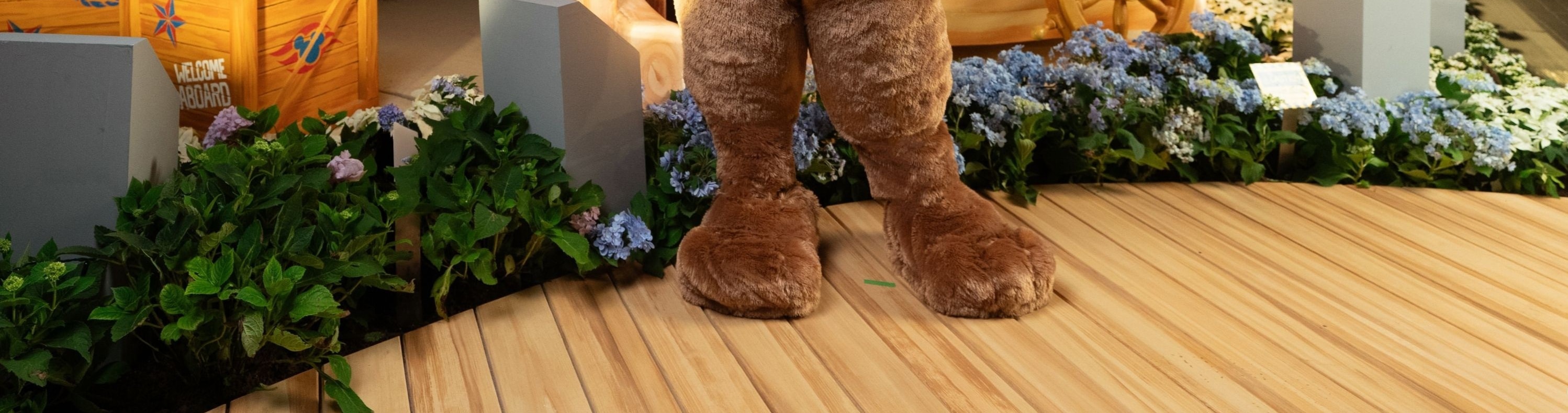 在花瓣花園與達菲見面