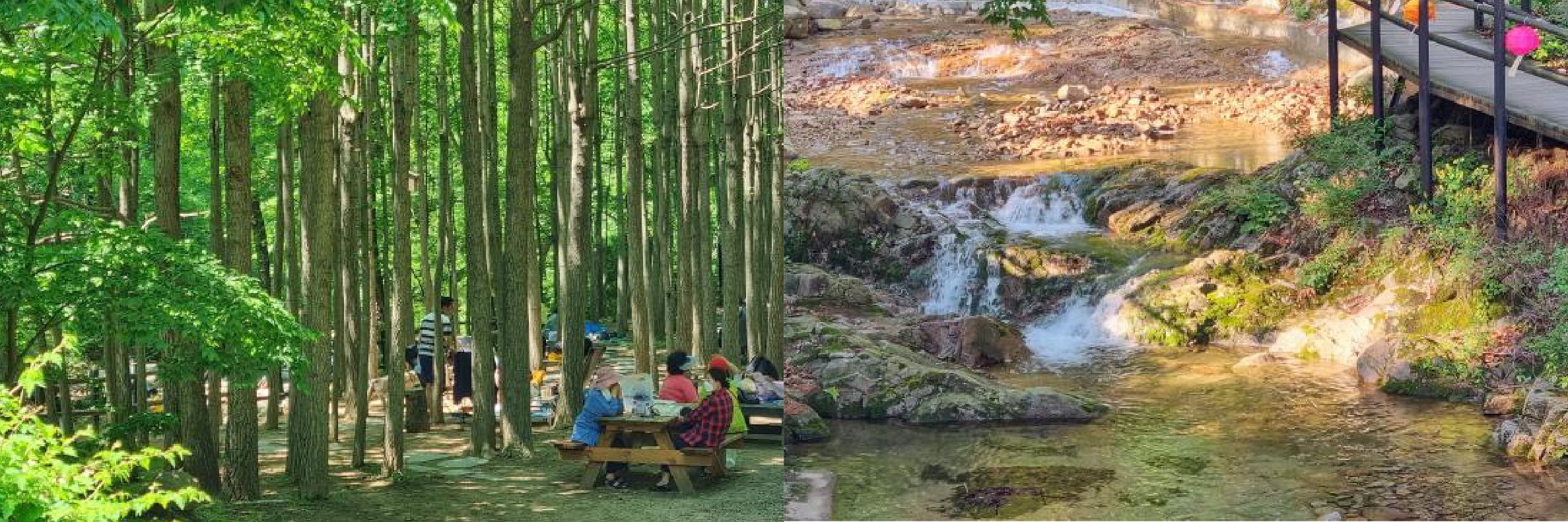 首爾市 & 季節性熱門景點一日遊