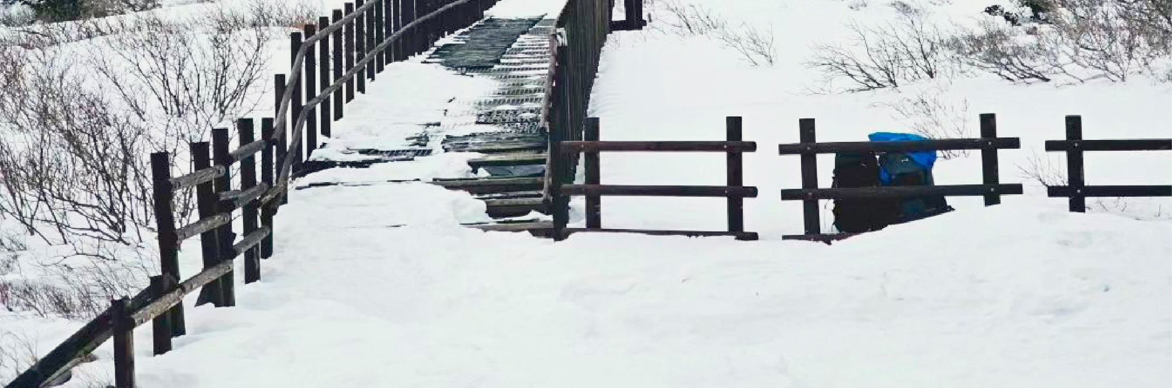 首爾雪嶽山 & Surfy海灘一日遊