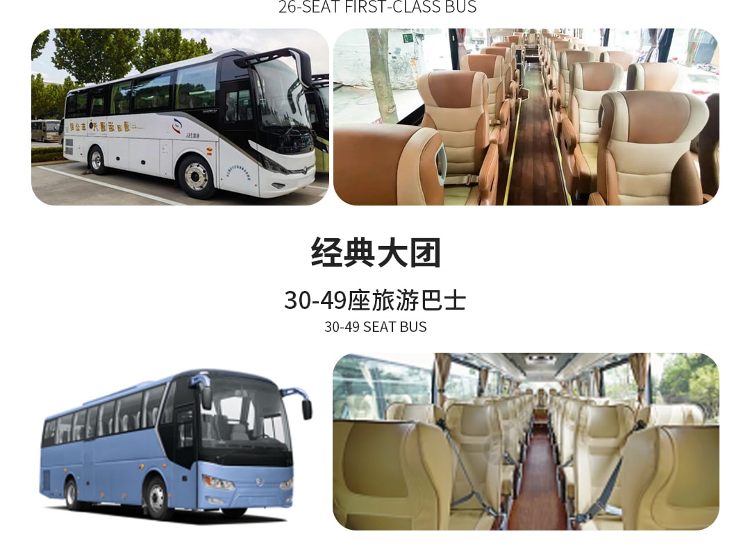 多種車型可供選擇