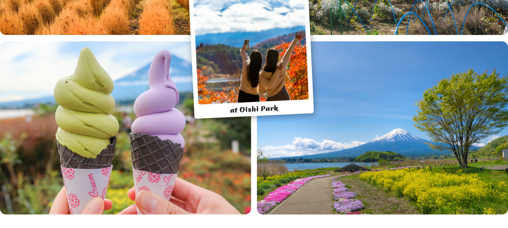 漫步於大石公園北側的湖畔長廊,這裡是令人驚歎的季節性花卉畫卷,完美襯托出富士山的壯麗景色。 漫步於大石公園北側的湖畔長廊,這裡是令人驚歎的季節性花卉畫卷,完美襯托出富士山的壯麗景色。