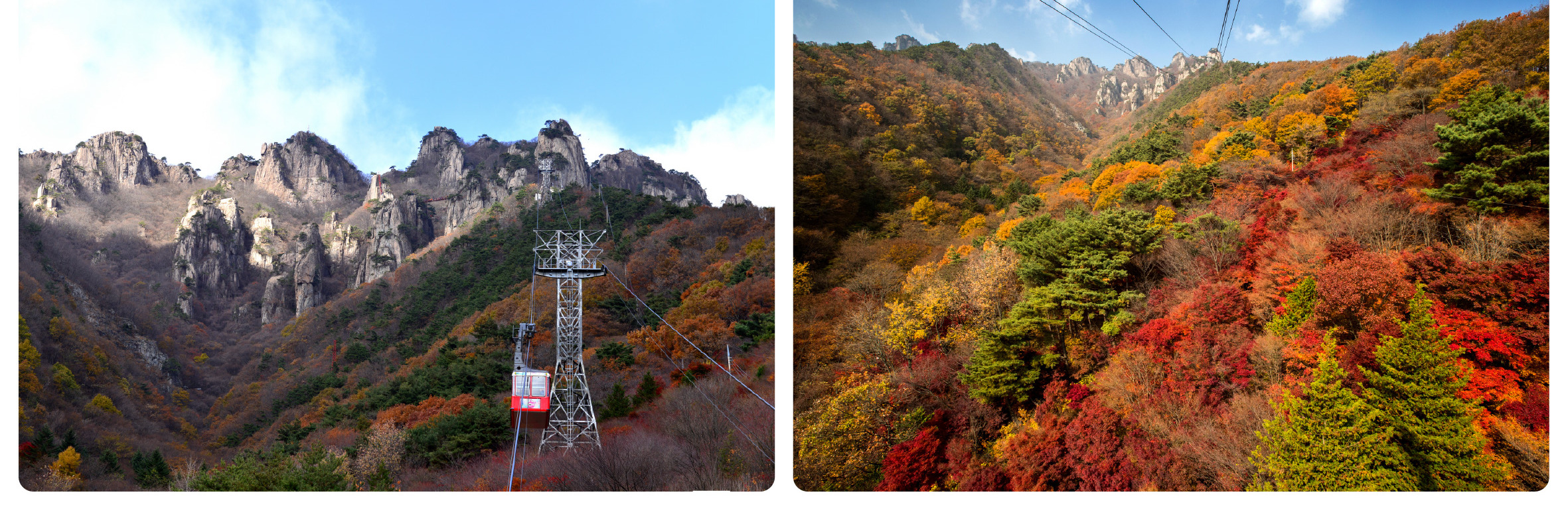 [秋季]周王山賞楓一日遊(釜山出发)	