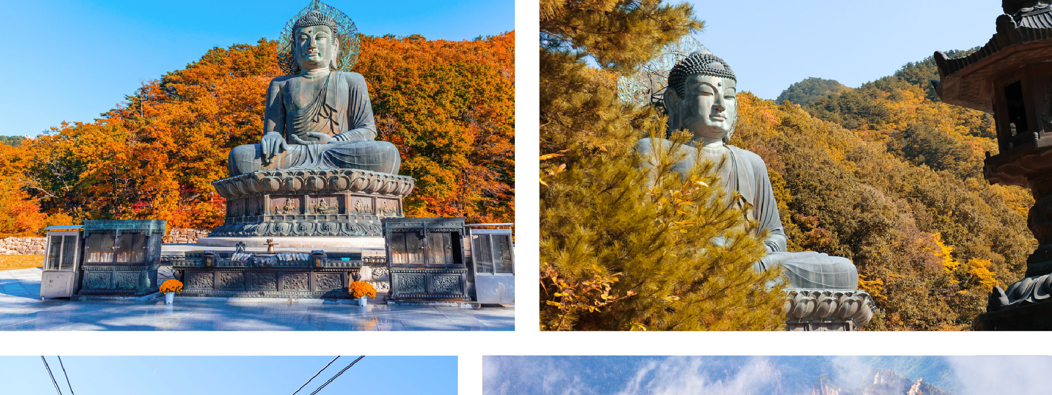 南怡島＆雪嶽山一日遊（首爾出發）