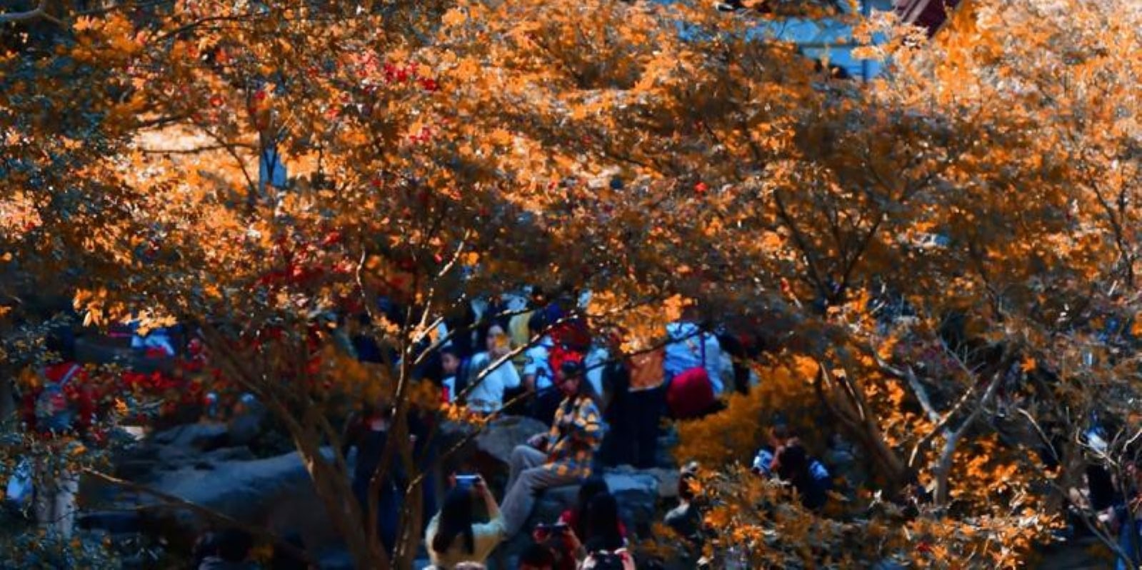 嶽麓山/愛晚亭，愛晚亭的美四季各異，春天，萬物復甦，嫩芽新出，充滿生機與活力；夏天，綠樹成蔭，成了避暑勝地；秋天，愛晚亭可要C位出道了！楓葉紅似火，就像穿上華麗禮服，美得讓人心動；冬天，雪花飄落，愛晚亭披上了一層銀紗，靜謐而神秘~