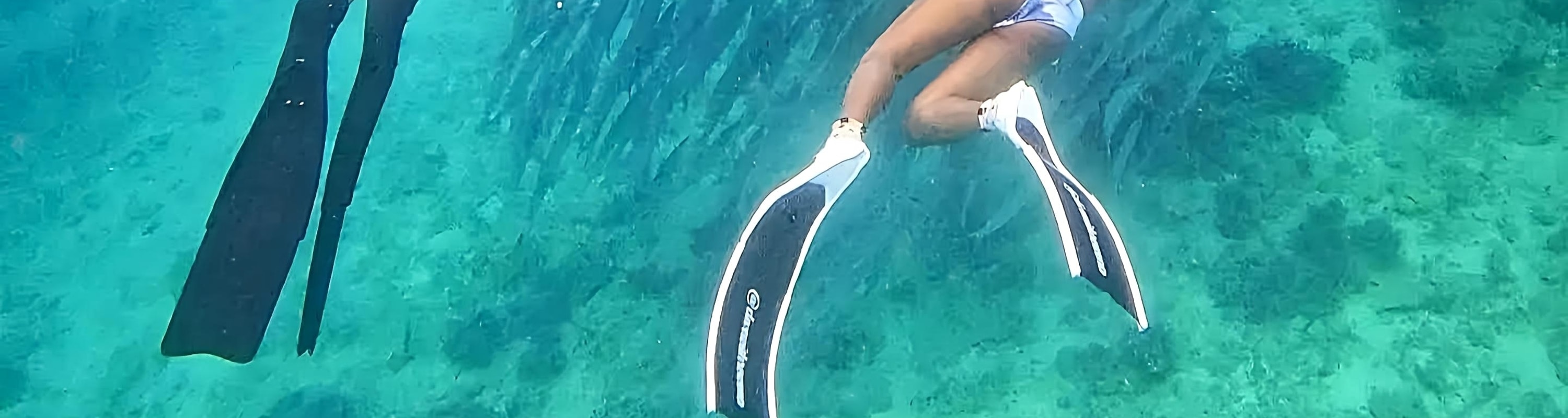 Siquijor: Freediving Adventure with Lunch and Beach Time