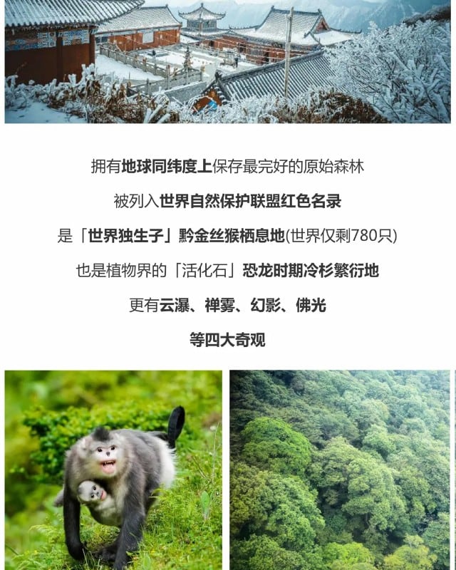 貴州遇見黔東南6天5晚（西江千戶苗寨+梵淨山+鎮遠古鎮+荔波小七孔）