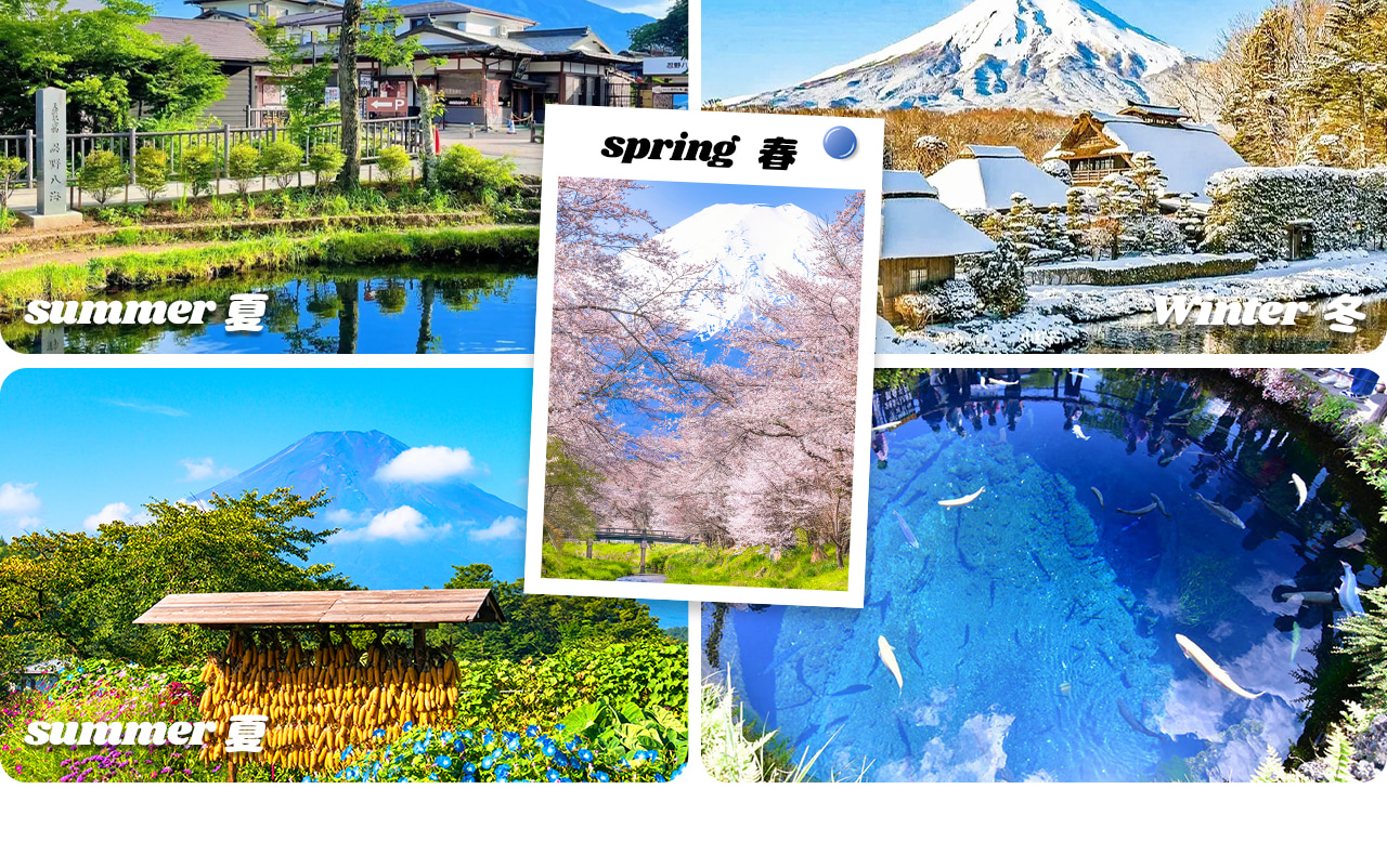 忍野八海是富士山腳下的清泉聖地，八口泉水清澈甘甜，倒映著雪山美景，宛如人間秘境。