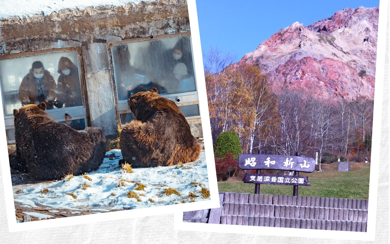 昭和新山熊牧場可近距離觀賞北海道棕熊憨態可掬的模樣,並親手投餵互動體驗溫馨樂趣。 昭和新山熊牧場可近距離觀賞北海道棕熊憨態可掬的模樣,並親手投餵互動體驗溫馨樂趣。