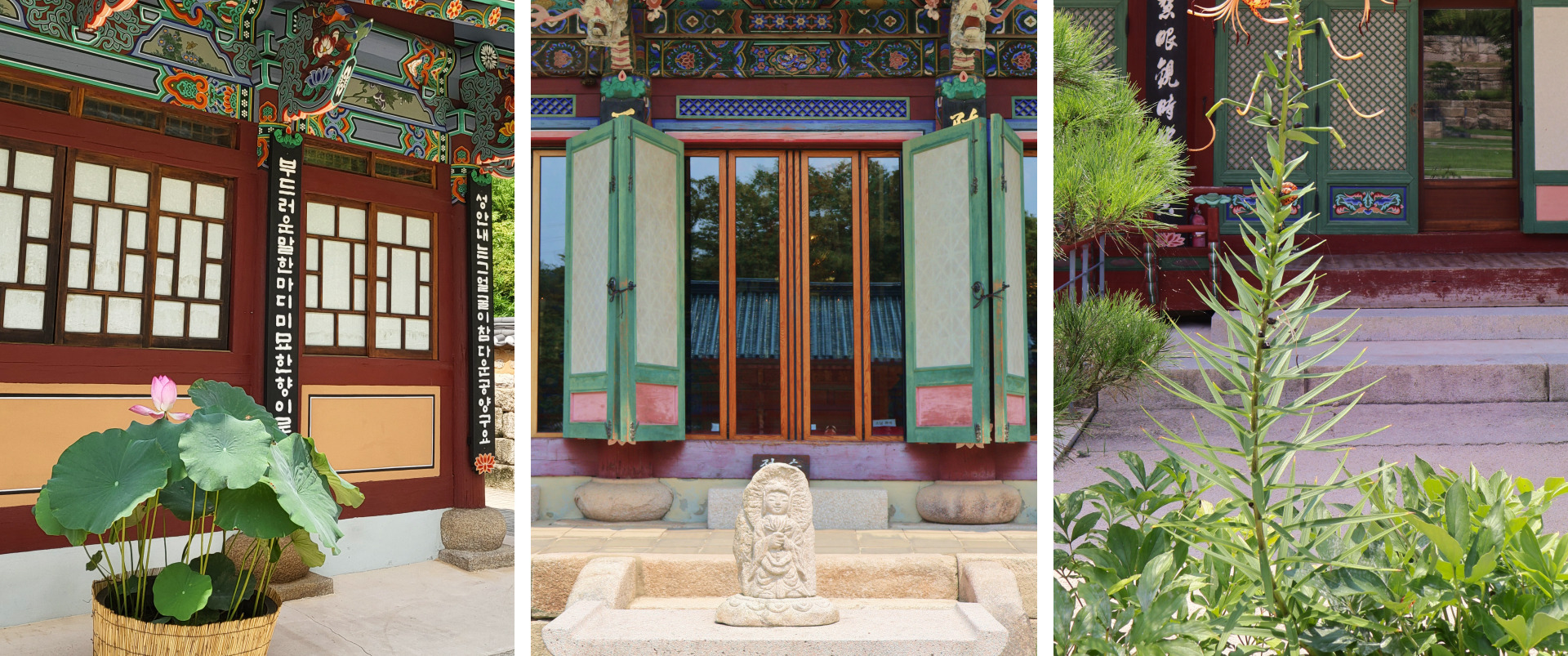 參觀首爾最古老的佛教寺廟之一——津寬寺，它靜靜地隱藏在森林中。