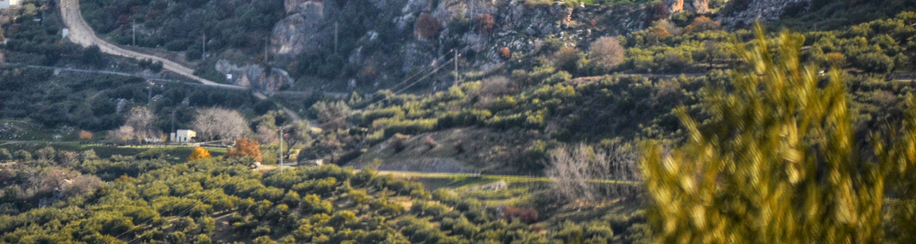 From Córdoba: White Villages of Cordoba