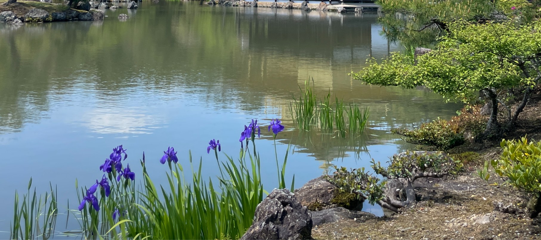 京都一日遊：永恆的地標和隱藏的瑰寶