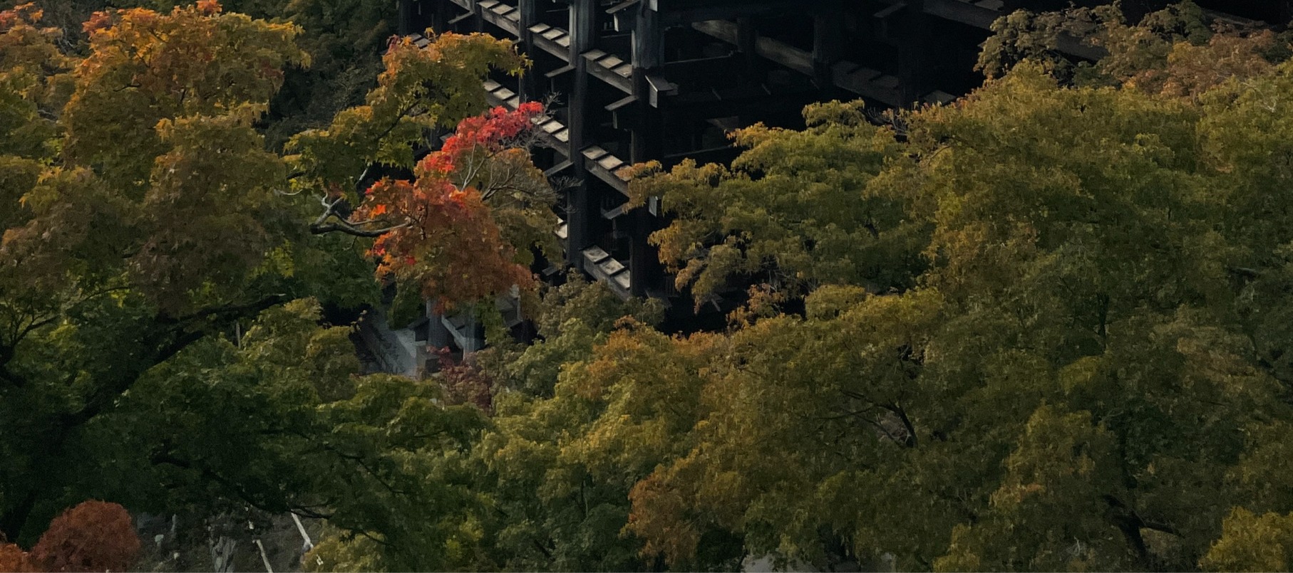 京都一日遊：永恆的地標和隱藏的瑰寶