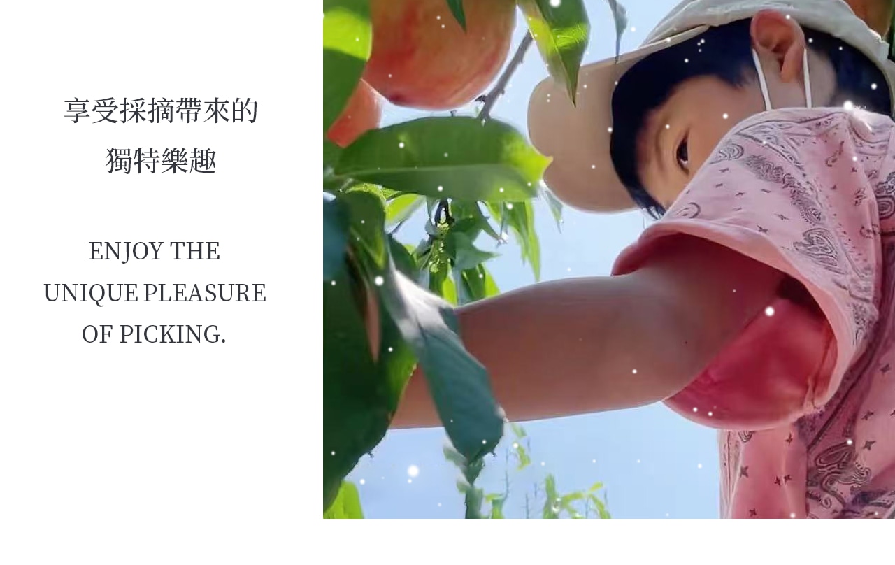 水果採摘季節分佈:12/4~5/31草莓採摘;6/5~7/5 櫻桃採摘;7/6~8/2 藍莓採摘;8/3~9/1 桃子採摘;9/2~10/8 葡萄採摘;10/9~12/7蘋果採摘 水果採摘季節分佈:12/4~5/31草莓採摘;6/5~7/5 櫻桃採摘;7/6~8/2 藍莓採摘;8/3~9/1 桃子採摘;9/2~10/8 葡萄採摘;10/9~12/7蘋果採摘