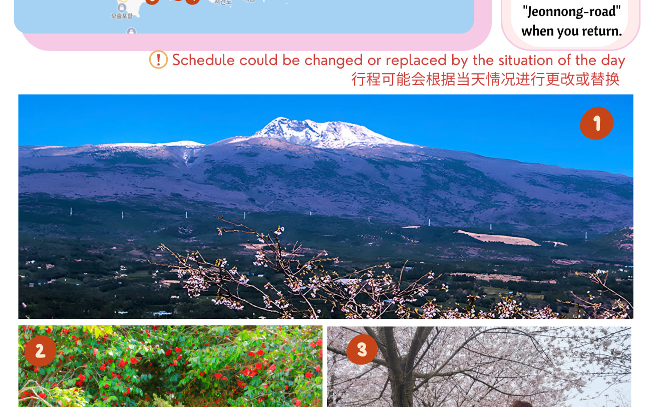 2025年濟州島南部世界遺產景點春季之旅
