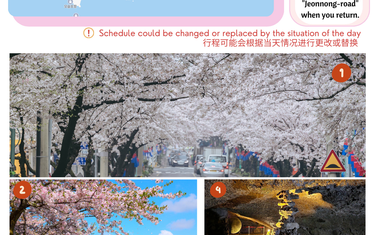 2025年濟州島南部世界遺產景點春季之旅