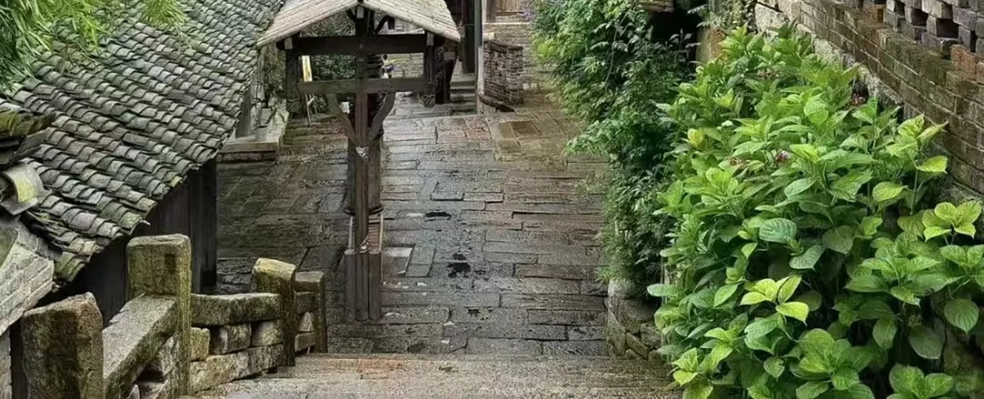 重慶武隆中英文私家團二日遊（天生三橋+龍水峽地縫+仙女山森林公園+芙蓉洞/816工程/白馬山天尺情緣/天坑寨子+重慶往返）