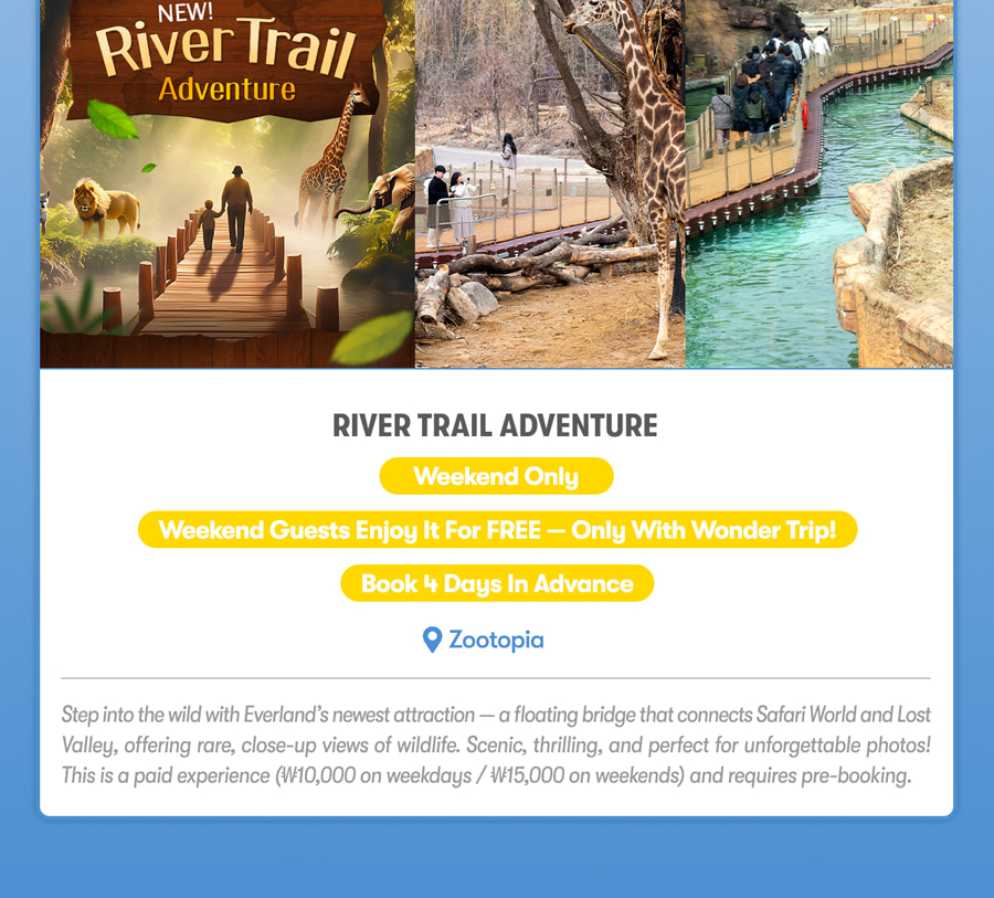 Everland Day Tour: Priority Entry (Till 31/5) + Optional Meal Coupon