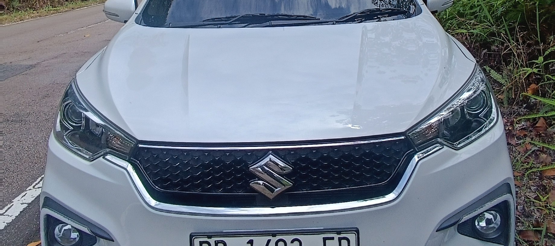 民丹島包車遊覽 