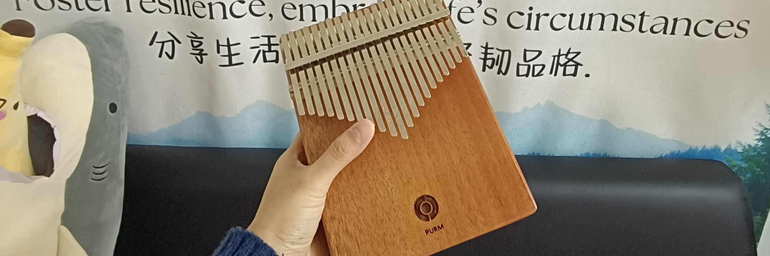 心靈卡林巴：與心理健康專家一起的探索之旅