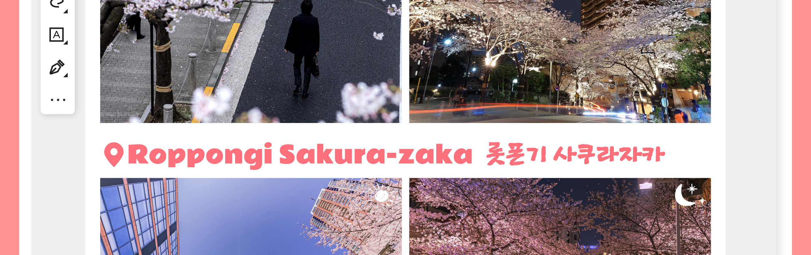 東京櫻花特輯：昭和紀念公園/六義園/飛鳥山