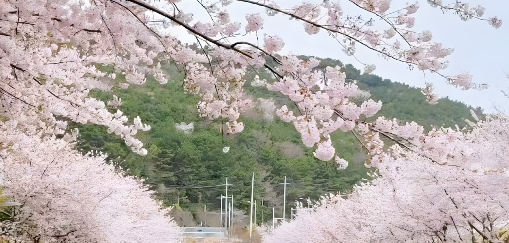 甘川文化村、海雲臺藍線公園一日遊