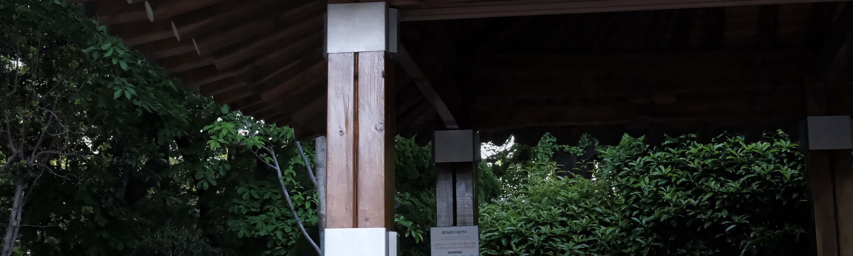 龍頭山公園 龍頭山公園