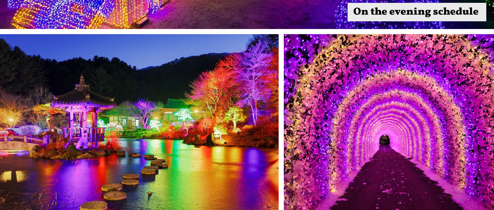 冬季的晨靜園藝樹木園🎇 日落時分，閃爍的燈光照亮整個場景，營造出如童話般的夢幻景觀，這是隻有在冬季才能體驗到的。