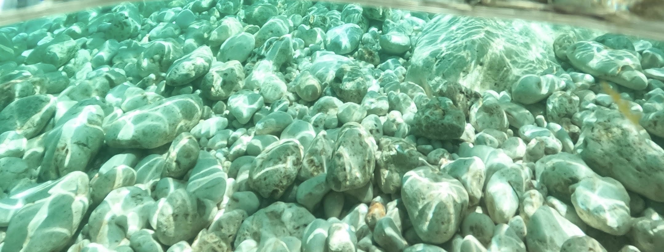 Crystal-Clear waters