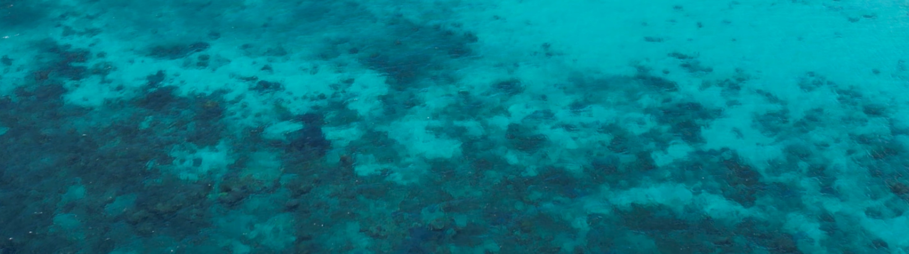 科倫島Malcapuya島海灘逍遙之旅（2個白沙灘島 & 1個沙洲）