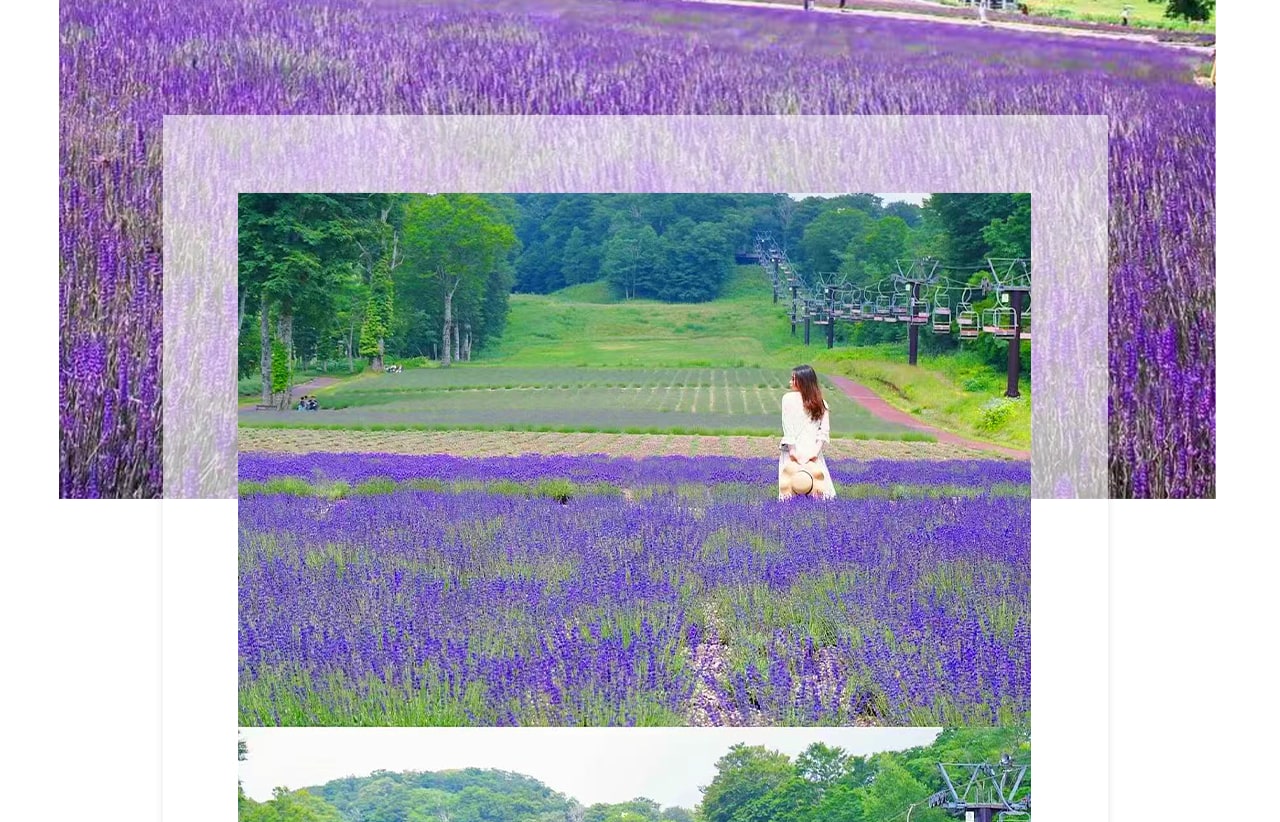 不用飛北海道,也能一次收集成片紫色花海!
超過五萬株薰衣草齊放,鋪滿整個山坡,一走進就被淡淡清香包圍,夢幻到宛如來到童話世界。 不用飛北海道,也能一次收集成片紫色花海!
超過五萬株薰衣草齊放,鋪滿整個山坡,一走進就被淡淡清香包圍,夢幻到宛如來到童話世界。