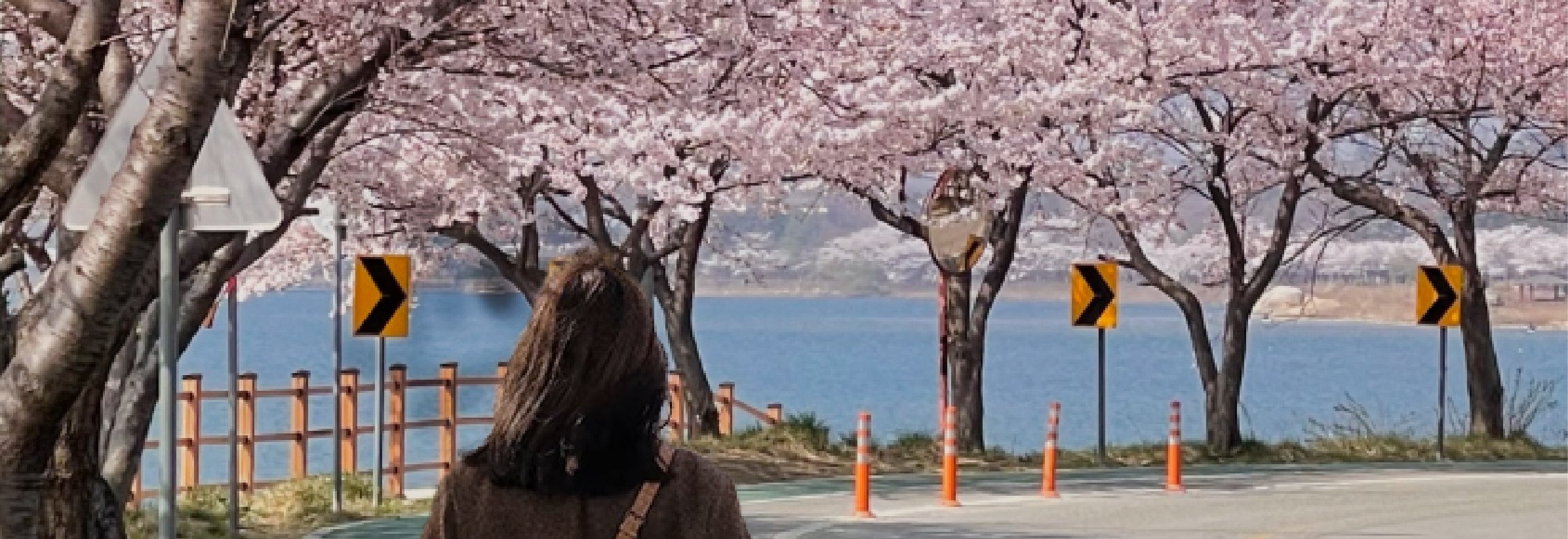 首爾雪嶽山 & Surfy海灘一日遊