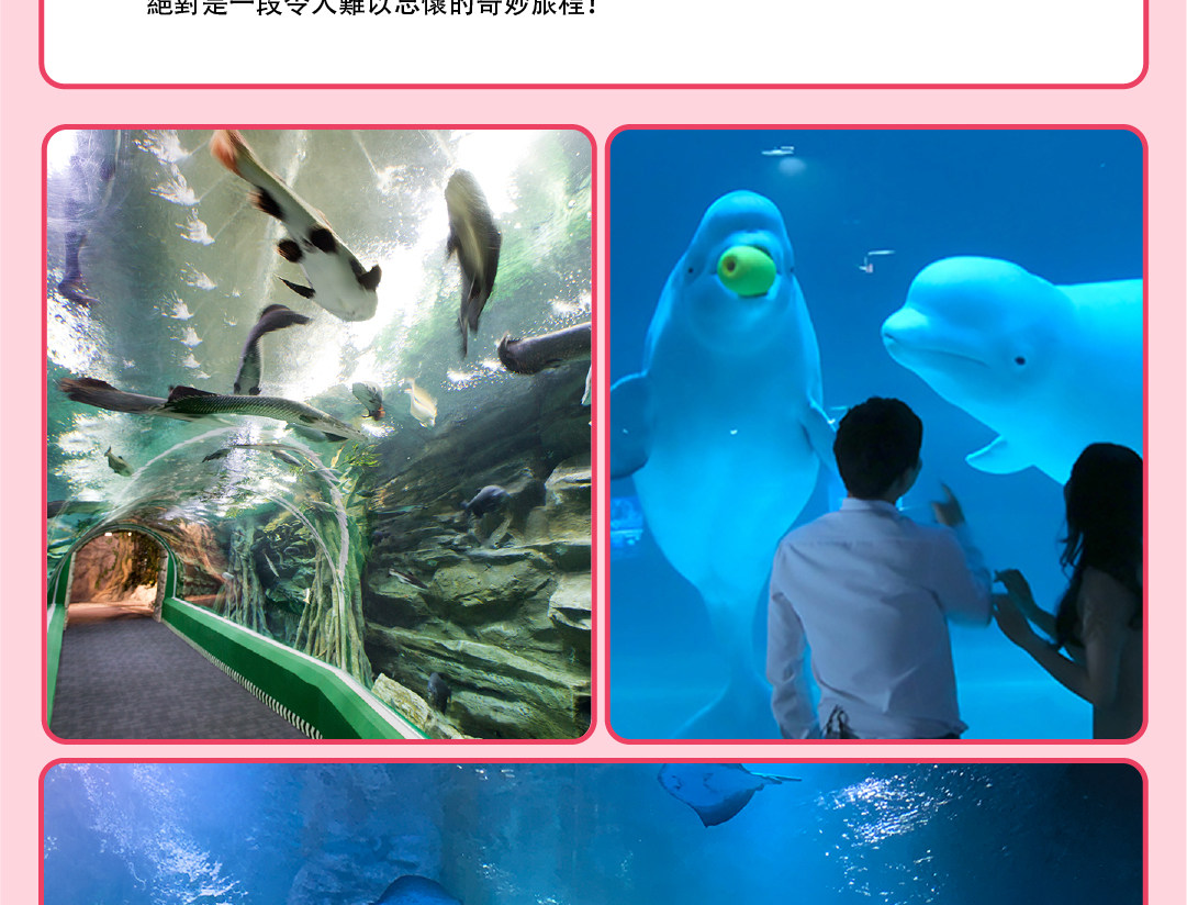 首爾樂天世界 & 南怡島觀光 & 影視主題多天遊