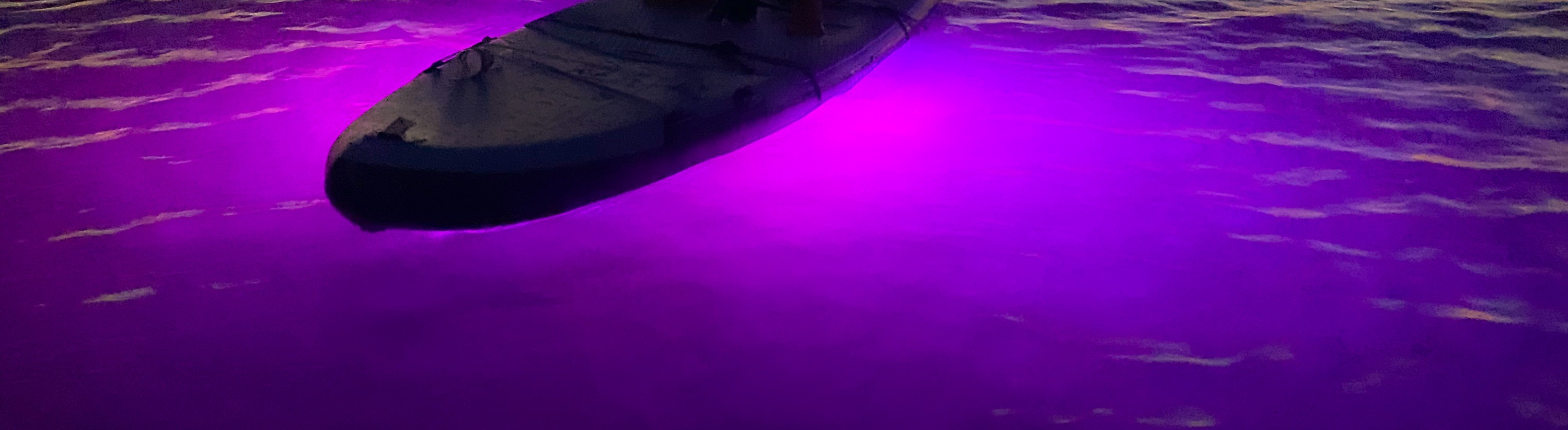哥打基納巴魯夜光立式划槳SUP體驗