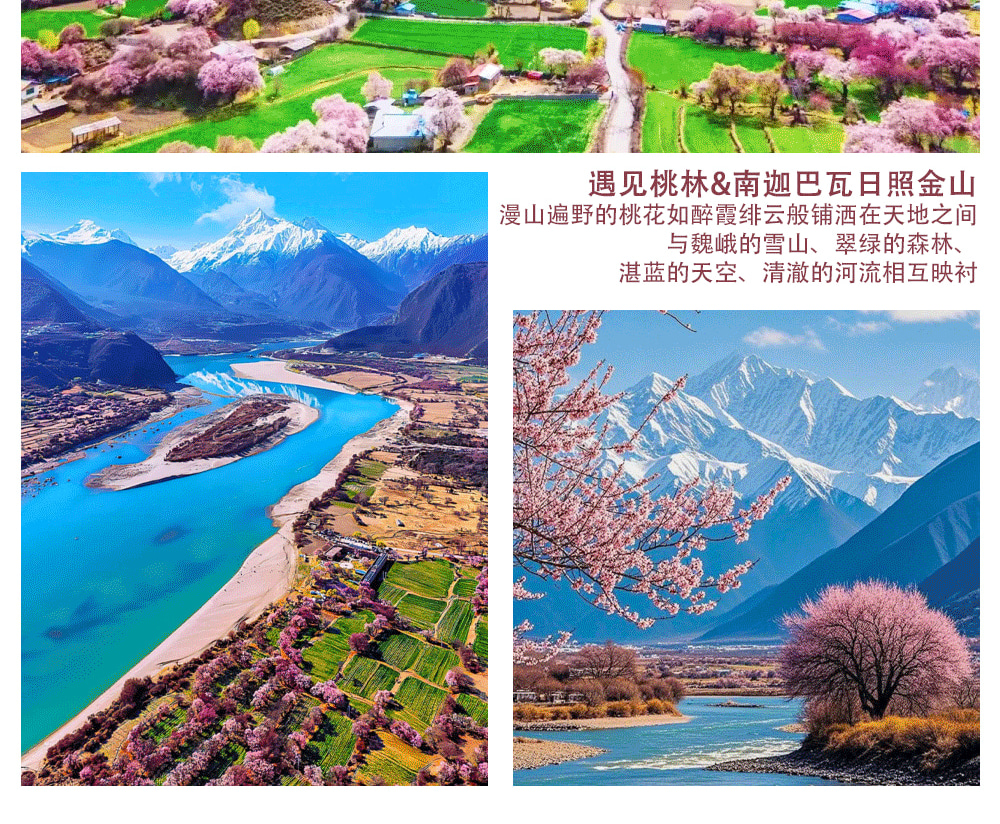 西藏林芝桃花6日（天后同款瑞吉/松贊系列+南迦巴瓦日照金山&平措康桑雪裡酒店+嘎拉桃花村+索松村+卡若拉冰川+私導講解布達拉宮大昭寺）